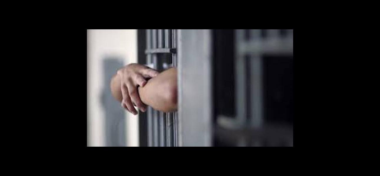 Visitas íntimas de internos: más estado, menos castigo