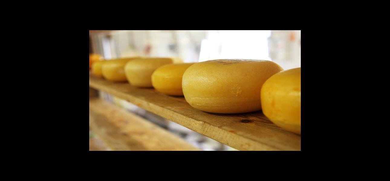 ¿Cómo organizar una microempresa?