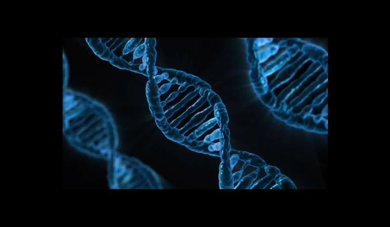 Oficinas de marcas y patentes: tendencias de registro en biotecnología