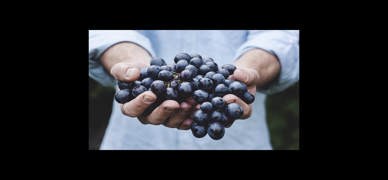 Cómo encontrar proveedores