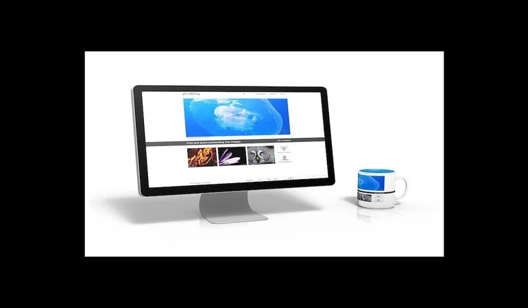 Cómo crear una empresa express