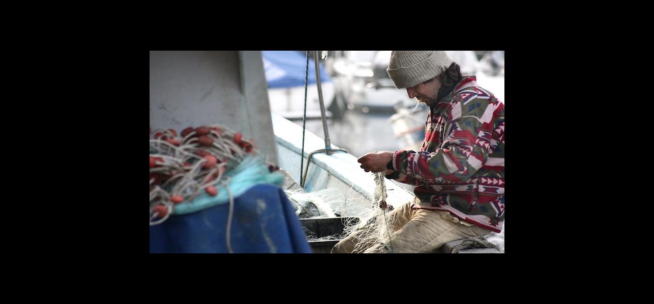 Posibles reformas a la ley de pesca