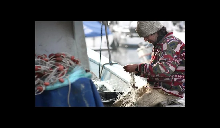 Posibles reformas a la ley de pesca