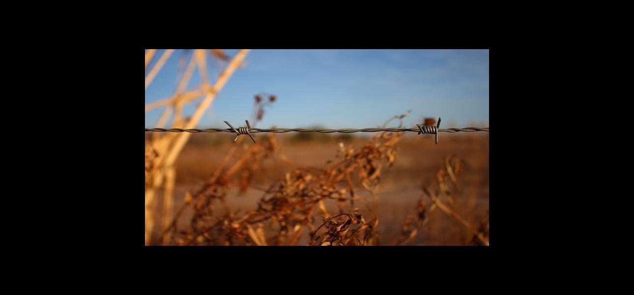 ¿Qué ocurre si alguien más usa tu marca?