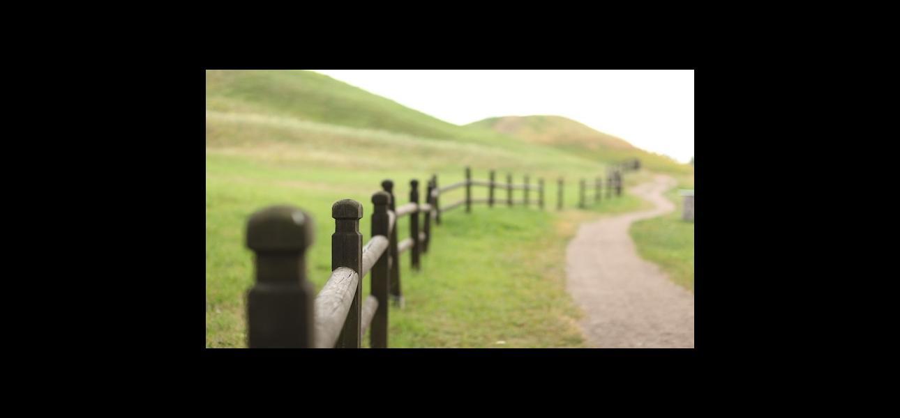 La cosecha de invención para empresas