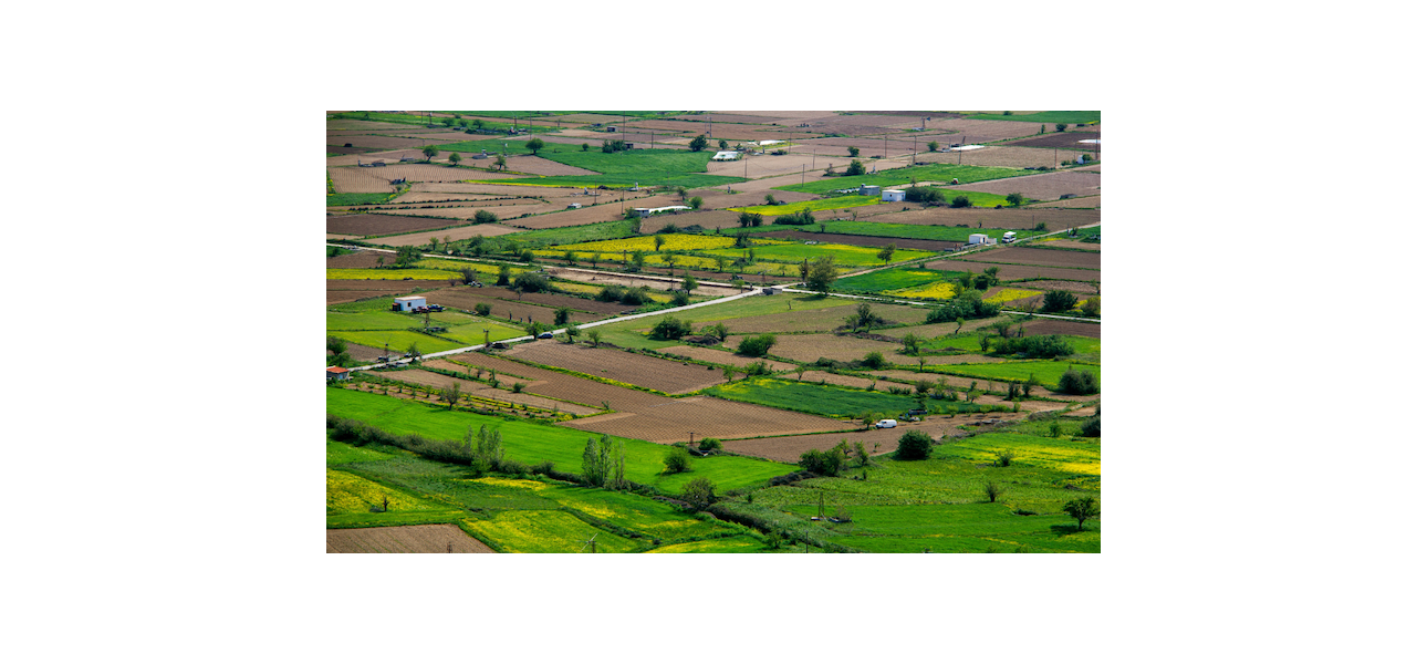 Contribuciones al día  ¿S.I.I. se encuentra al día?