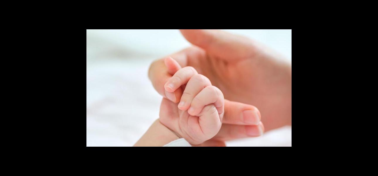 El 0,2% de los trabajadores pidió post natal parental en 2018