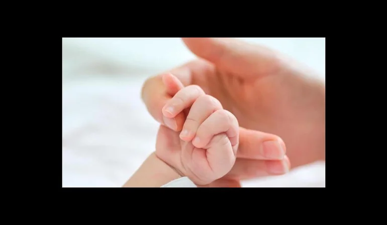 El 0,2% de los trabajadores pidió post natal parental en 2018