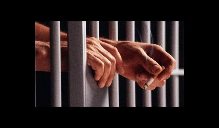 Penas sustitutivas en el sistema procesal penal chileno. entre el cumplimiento efectivo y el excesiv