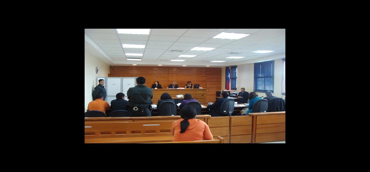 Primera audiencia oral en procedimiento civiles