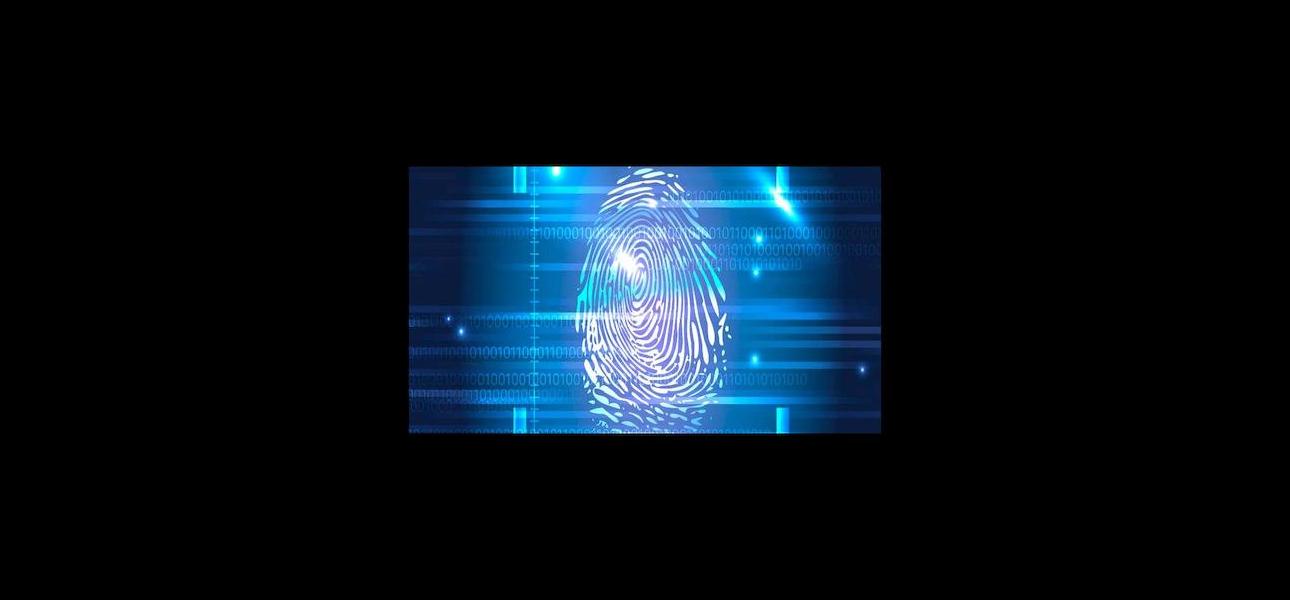 Tratamiento de datos en empresas de intermediación digital