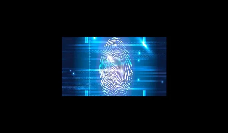 Tratamiento de datos en empresas de intermediación digital