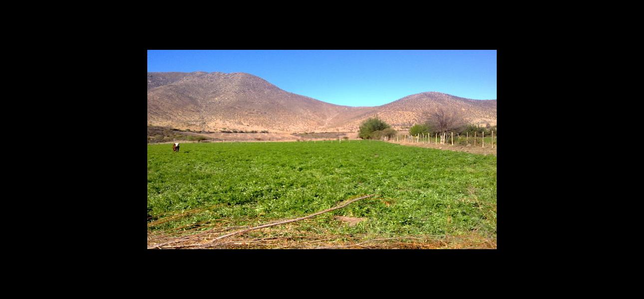 Requisitos para la división de predios rústicos