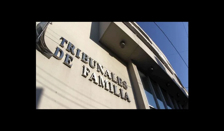 El rol del consejero técnico en los tribunales de familia